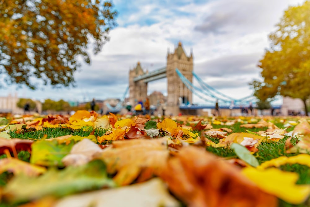 London Parks