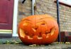 Explore the Best Pumpkin Patches near Liverpool City